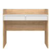 Function Plus Desk 2 Drawers In Jackson Hickory and White